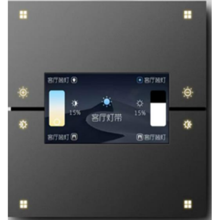 Switch with Multi-Functional Display